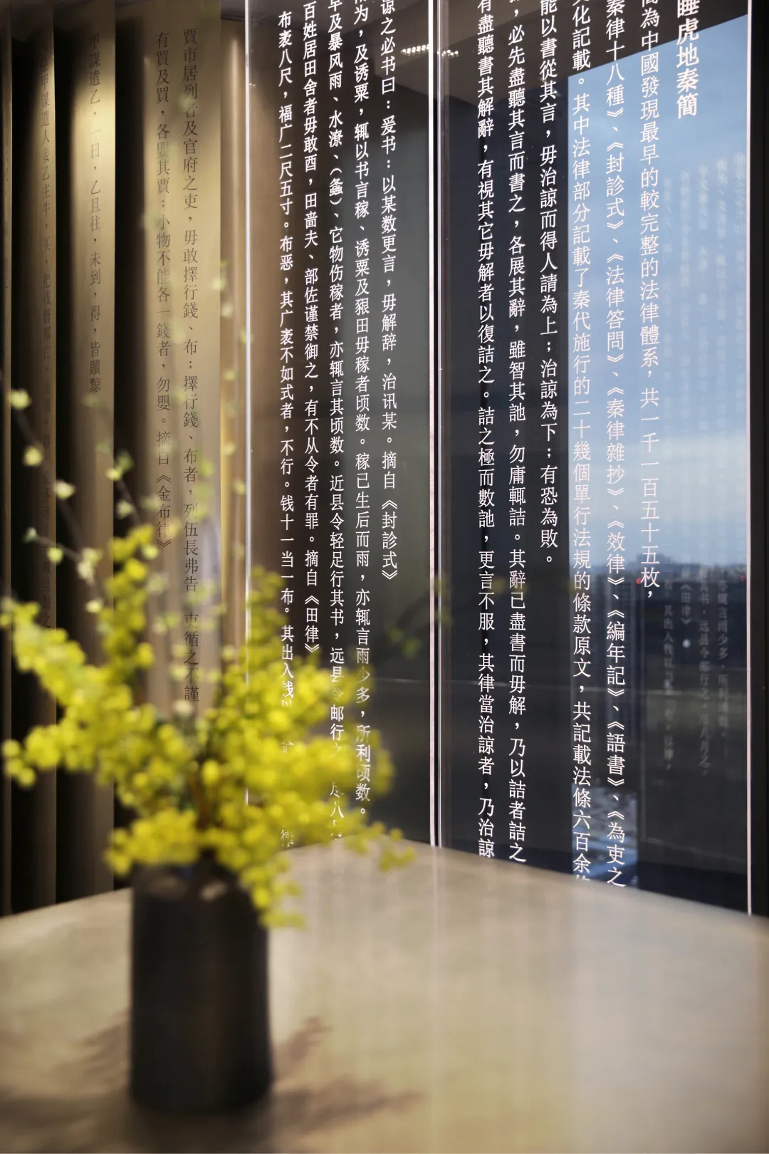 1200平現(xiàn)代東方珠光律師事務所裝修設計(圖7)