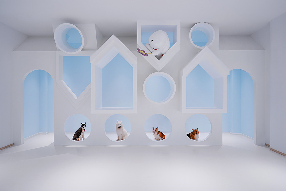 寵物店裝修公司—狗狗派萌寵中心設(shè)計案例分享(圖1)