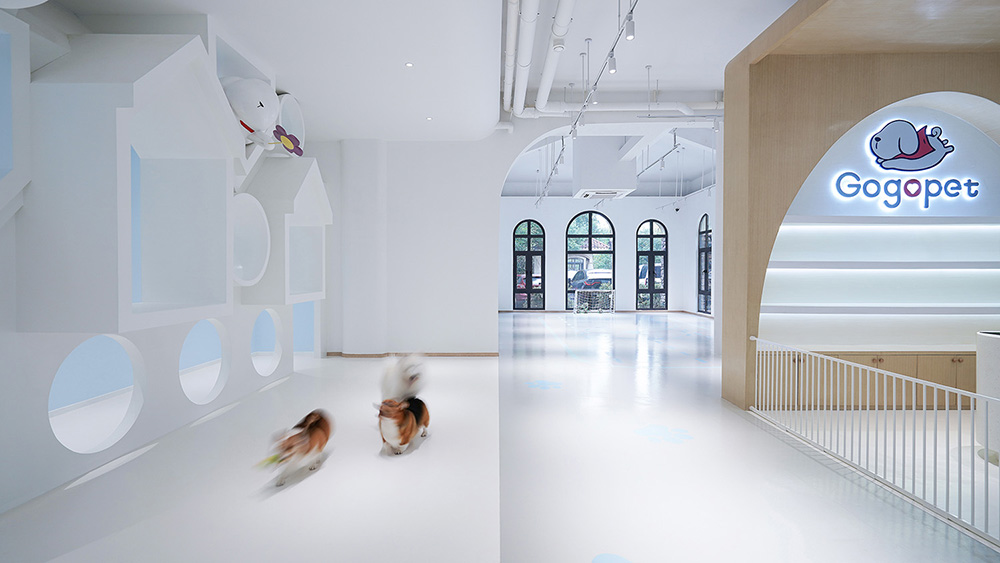 寵物店裝修公司—狗狗派萌寵中心設(shè)計案例分享(圖6)